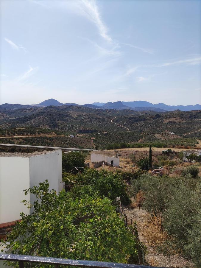 La Casa De Mi Rosa